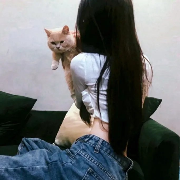 鱼与猫